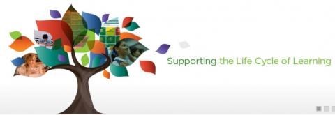 supportinglifecycle.jpg (1)