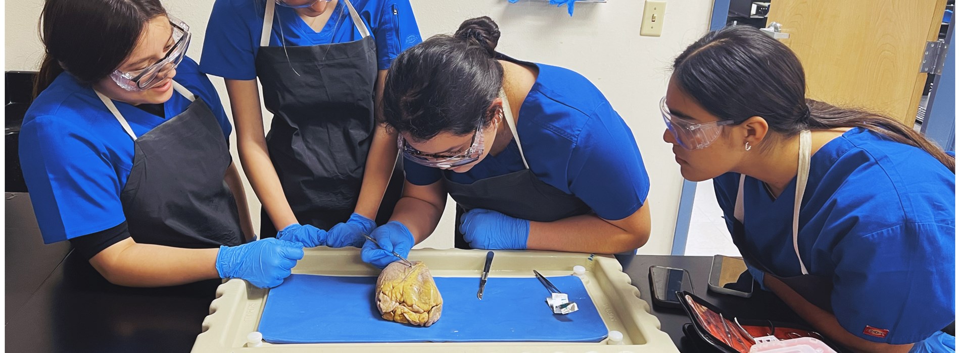 afterlightimage-4.jpg afterlightimage-4.jpg