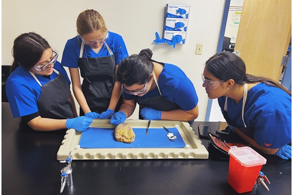 afterlightimage-4.jpg afterlightimage-4.jpg