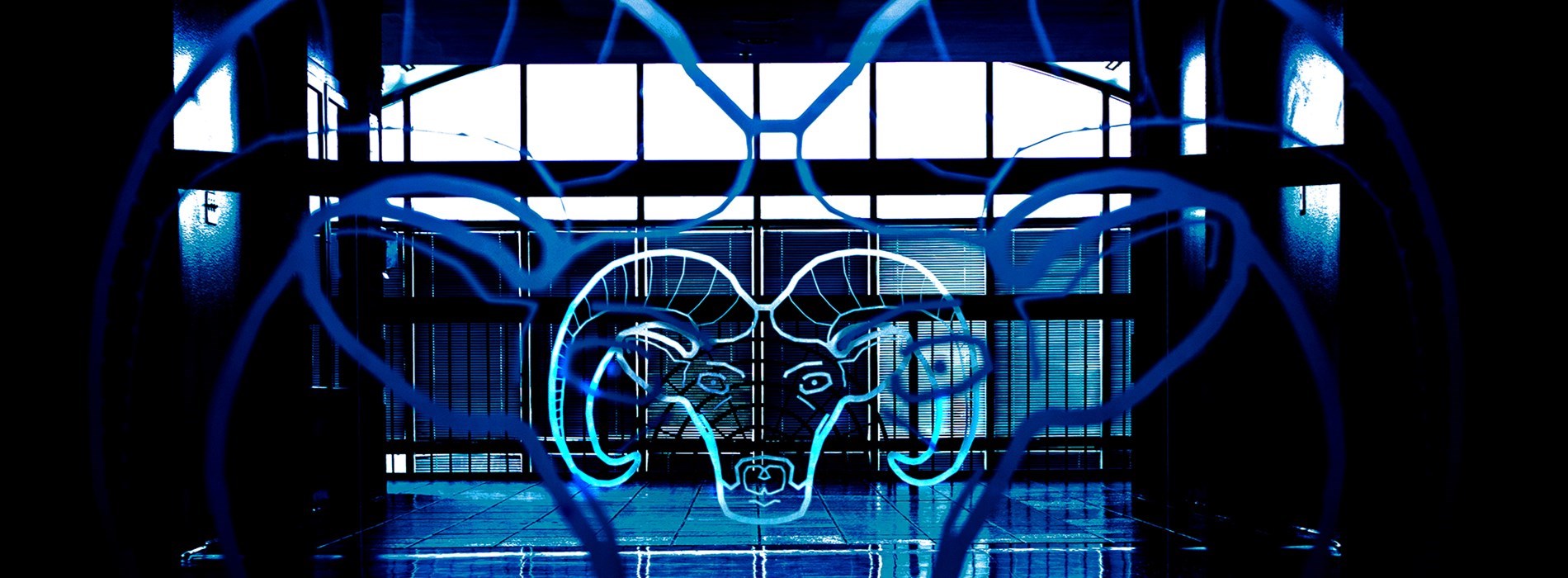 Administrative Regulations & Exhibits Banner Image