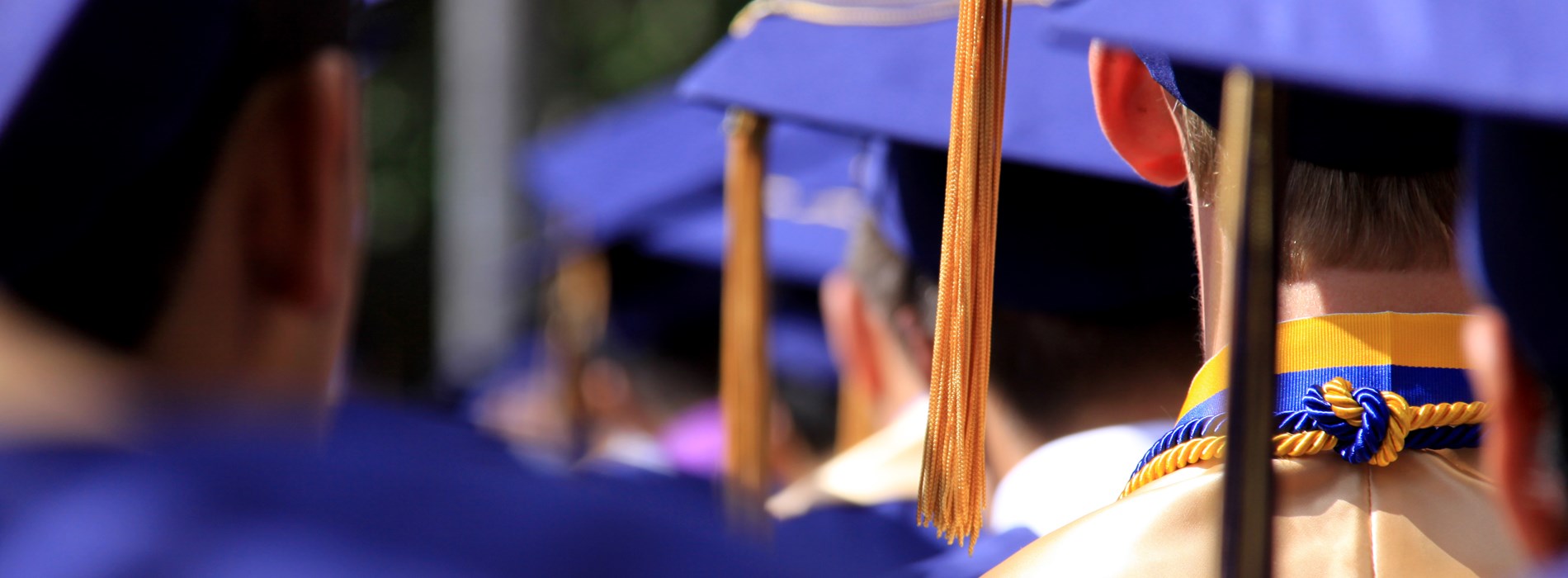 SCHOLARSHIPS SCHOLARSHIPS